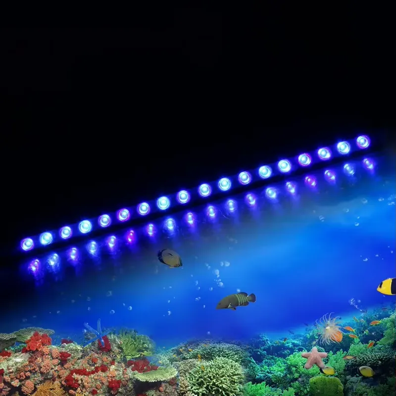Marine Aquarium Hours - Lámpara LED para Acuario Marino con