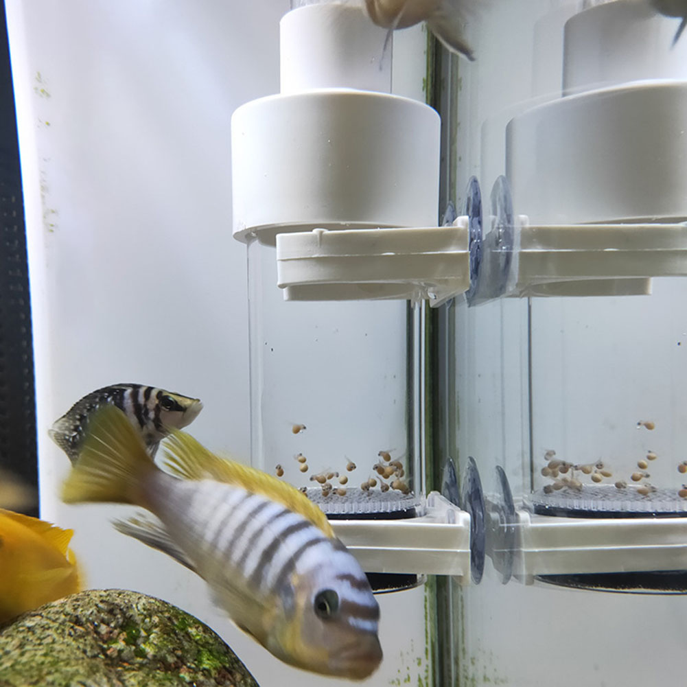 Marine Aquarium Kit - Incubadora de Huevos de Peces de