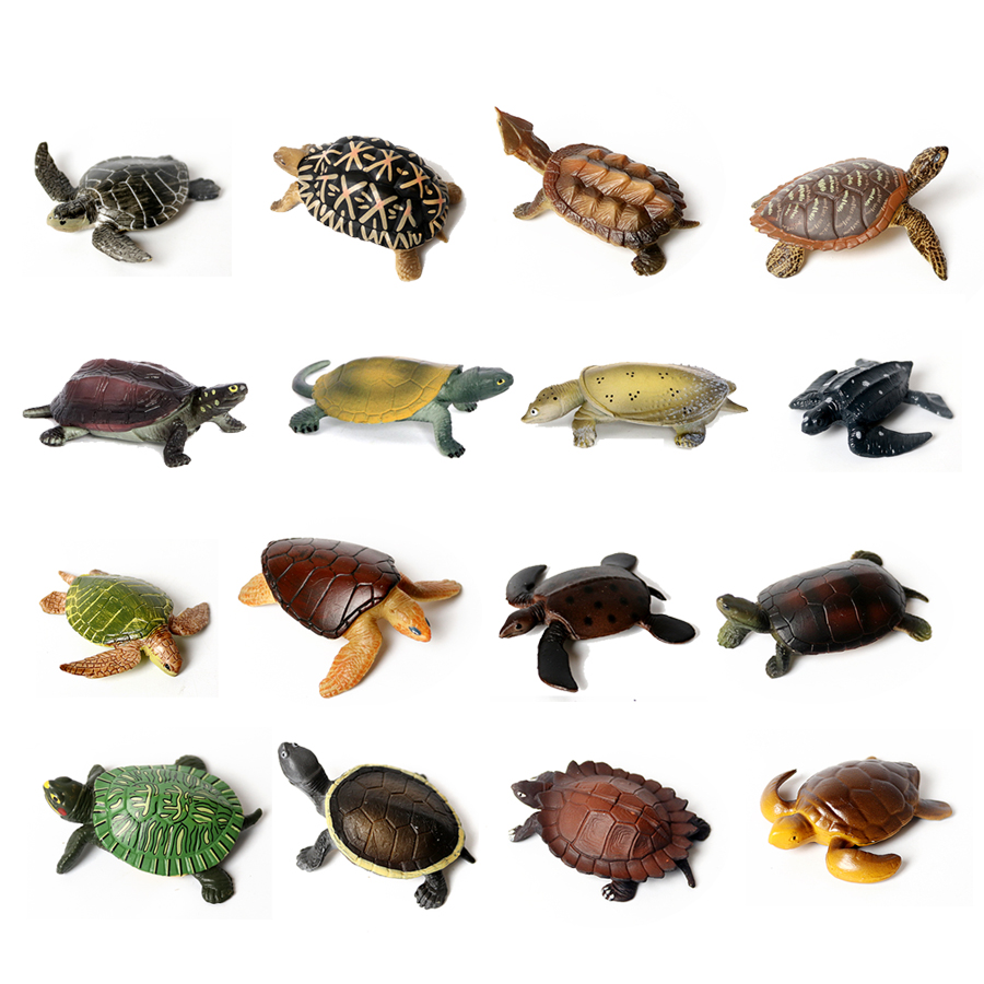 Marine Aquarium & Regional Centre Photos - Miniaturas realistas para decoración de Acuario,
