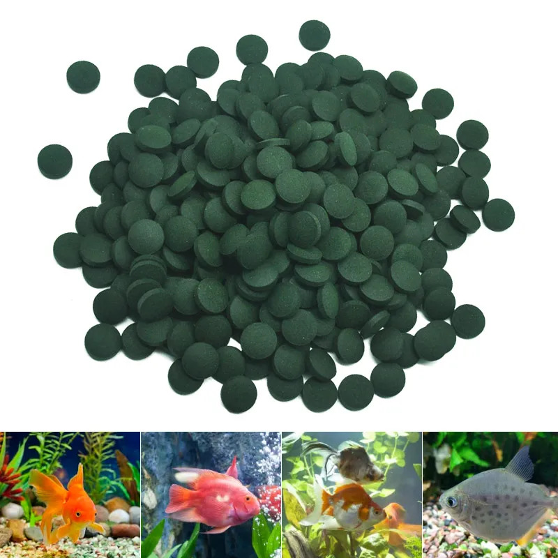 Tabletas de espirulina de alta - Marine Aquarium Bacteria reseña y precio