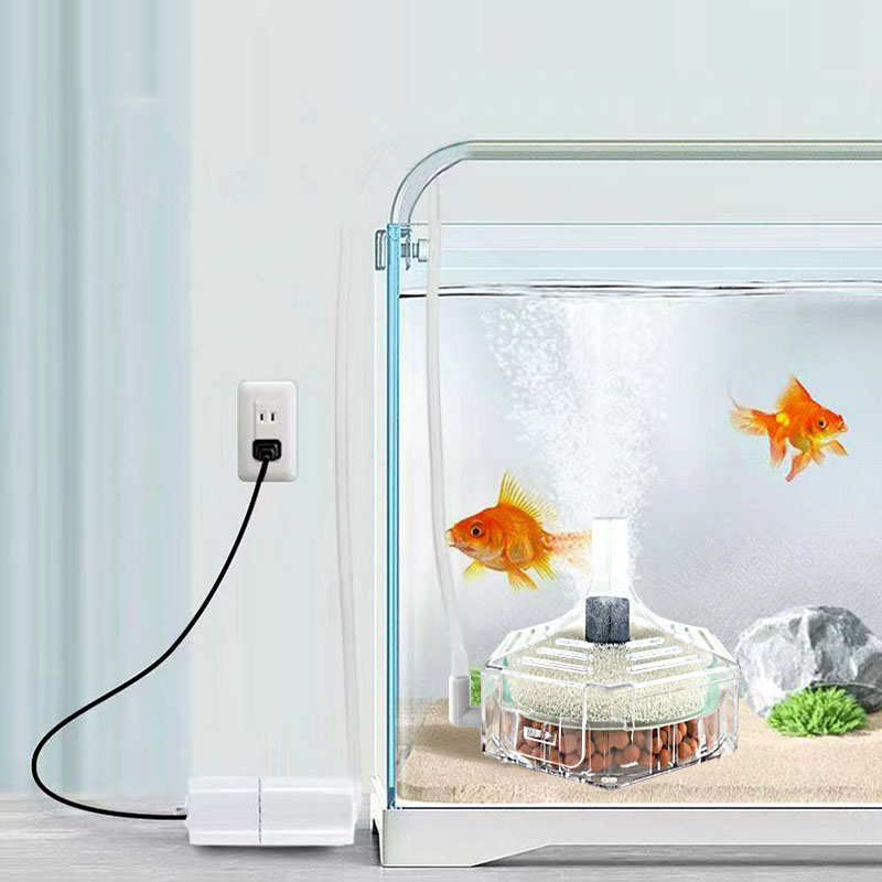 Filtro de tanque de peces de a - Marine Aquarium Bacteria reseña y precio