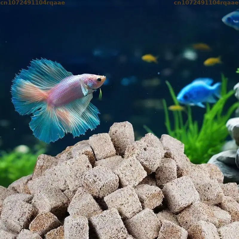 Cubos de lombrices de sangre l - Marine Aquarium Worms reseña y precio