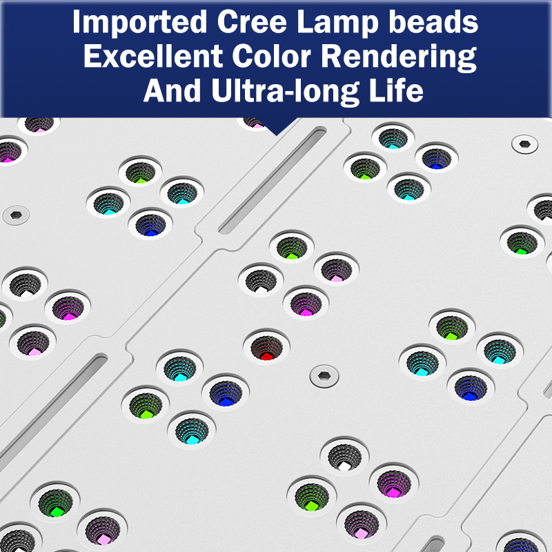 Lámpara LED de espectro comple - Marine Aquarium & Regional Centre Photos reseña y precio