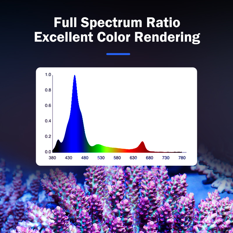 Lámpara LED de espectro comple - Marine Aquarium & Regional Centre Photos reseña y precio