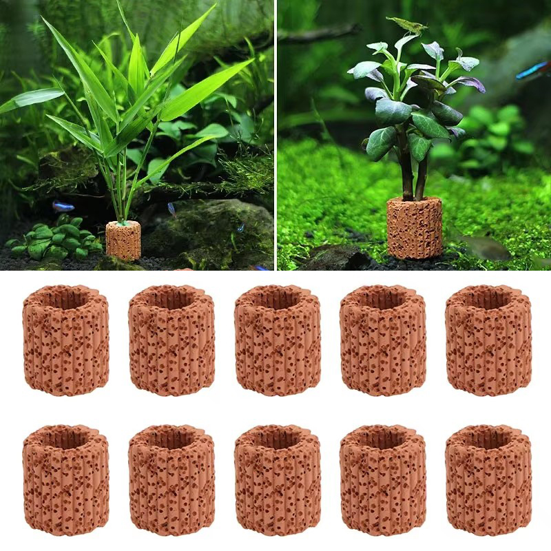 Anillo fijo para plantas acuát - Aquarium Innovative Marine reseña y precio