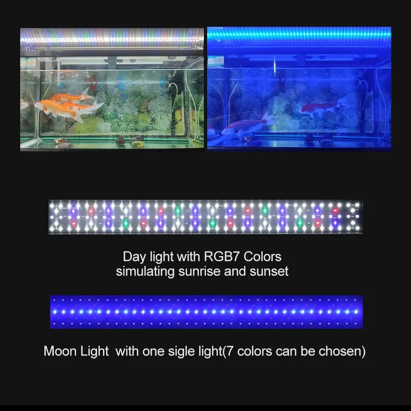 Iluminación LED para Acuarios  - Marine Aquarium Hours reseña y precio