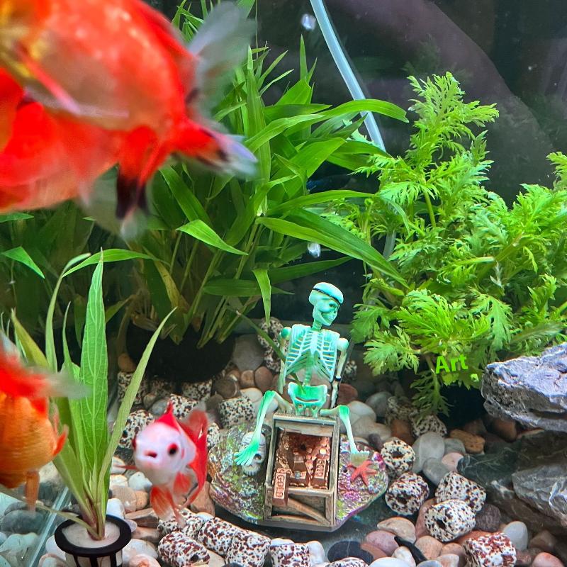 Bomba de aire de burbujas de p - Aquarium Innovative Marine reseña y precio