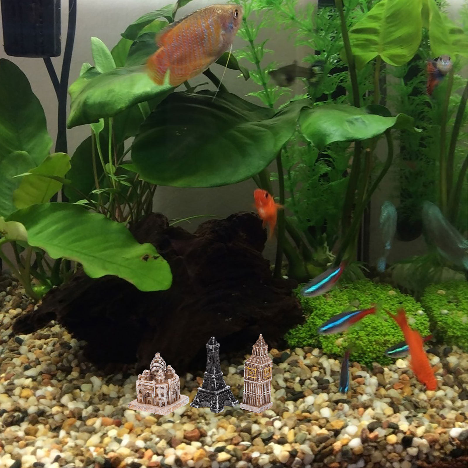 7 Piezas de Estatuas Romanas e - Aquarium & Marine Museum reseña y precio