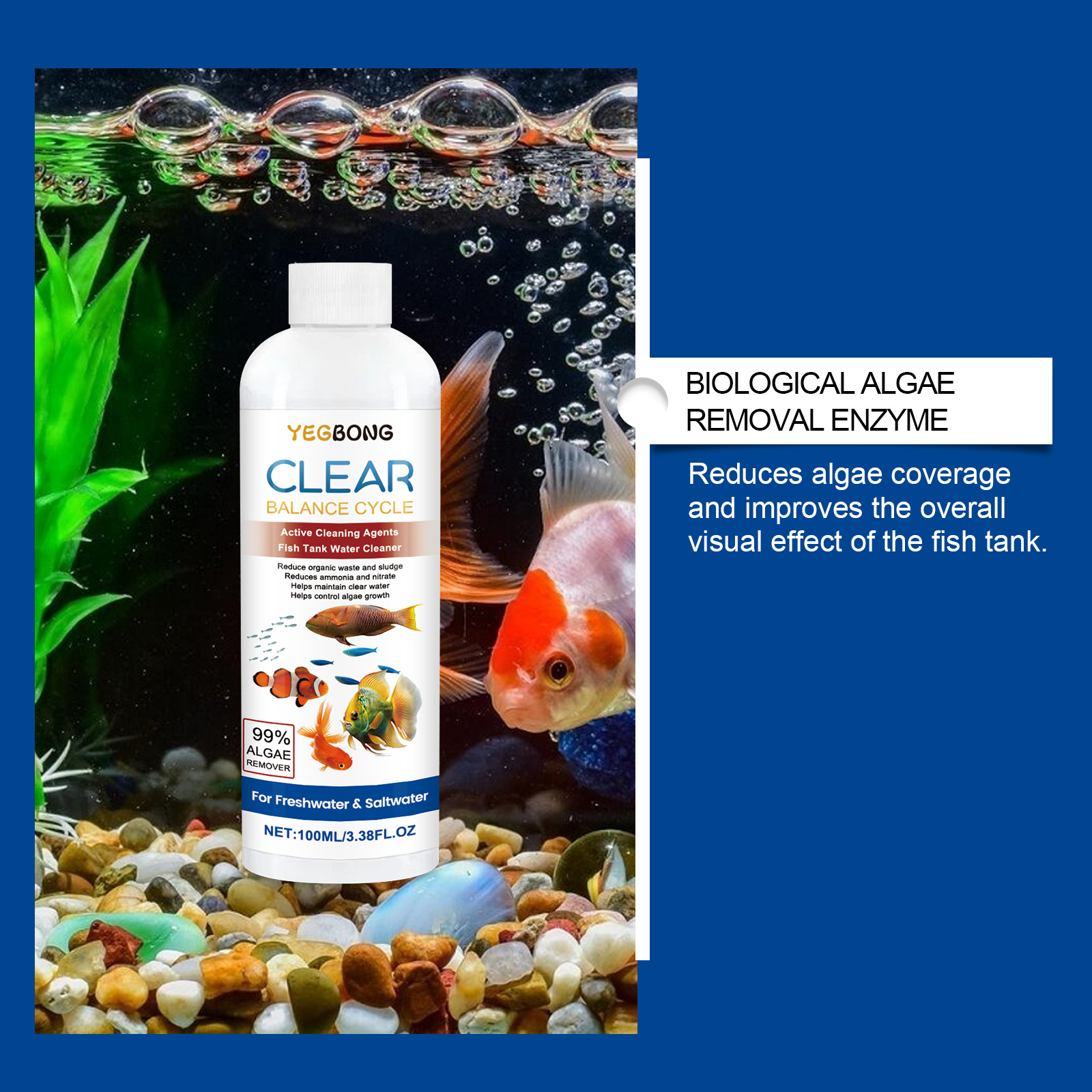 Clarificador de agua para acua - Marine Aquarium Bacteria reseña y precio