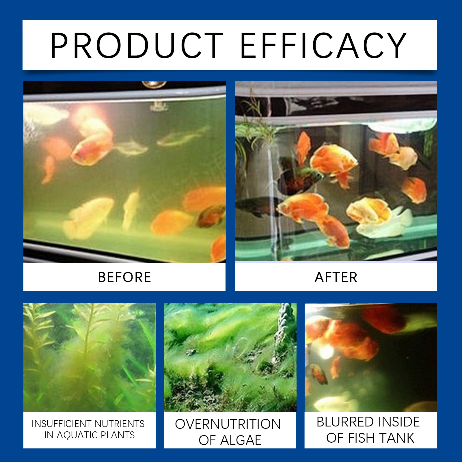 Clarificador de agua para acua - Marine Aquarium Bacteria reseña y precio
