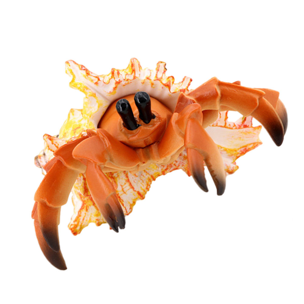 Camarón ermitaño de simulación - Marine Aquarium Europe reseña y precio