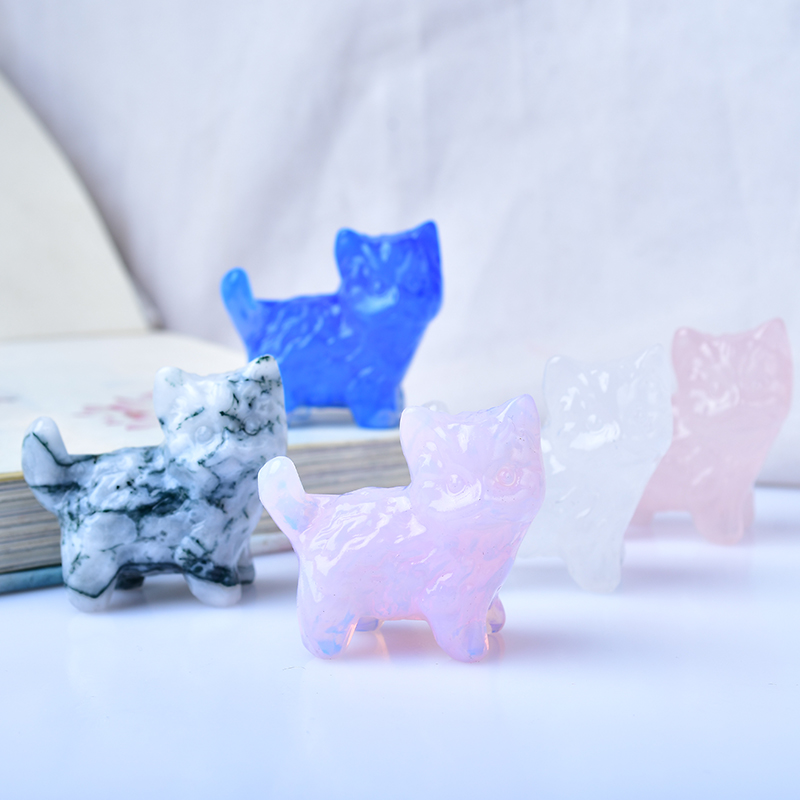 Pieza de tallado de gatito par - Aquarium Innovative Marine reseña y precio