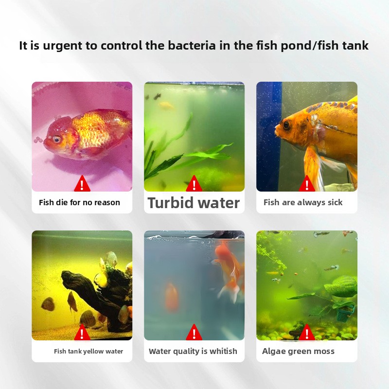 Sal de acuario HUACHU para pec - Marine Aquarium Bacteria reseña y precio