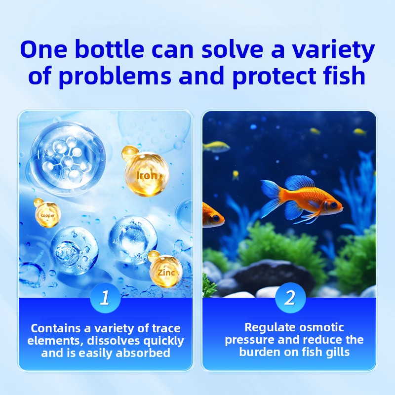 Sal de acuario HUACHU para pec - Marine Aquarium Bacteria reseña y precio