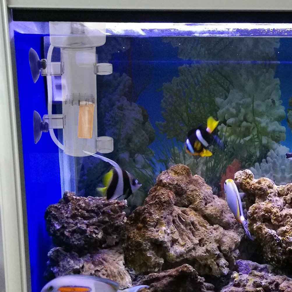 Skimmer de Proteínas Interno M - Marine Aquarium & Regional Centre Photos reseña y precio