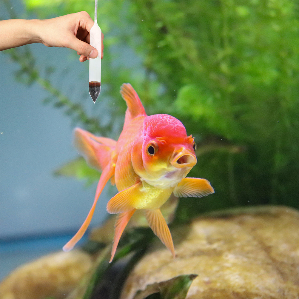 2 hidrómetros de salinidad par - Marine Aquarium Hydrometer reseña y precio