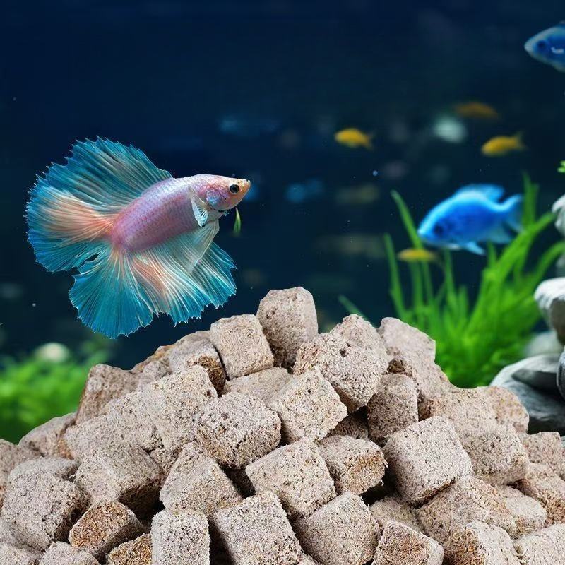 Cubo de gusanos de sangre liof - Marine Aquarium Worms reseña y precio