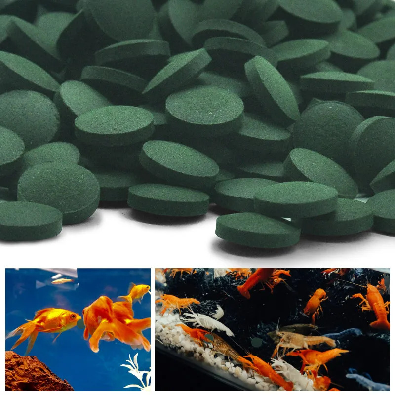 Tabletas de espirulina de alta - Marine Aquarium Bacteria reseña y precio