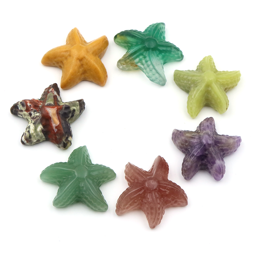Estatua con forma de estrella  - Marine Aquarium & Regional Centre Photos reseña y precio
