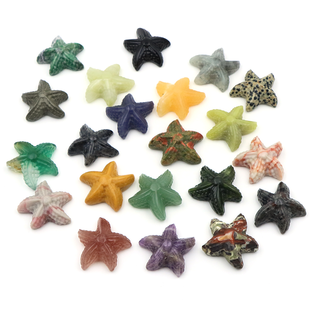Estatua con forma de estrella  - Marine Aquarium & Regional Centre Photos reseña y precio