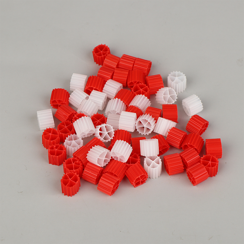 1 bolsa (150g) de medio filtra - Marine Aquarium Bacteria reseña y precio