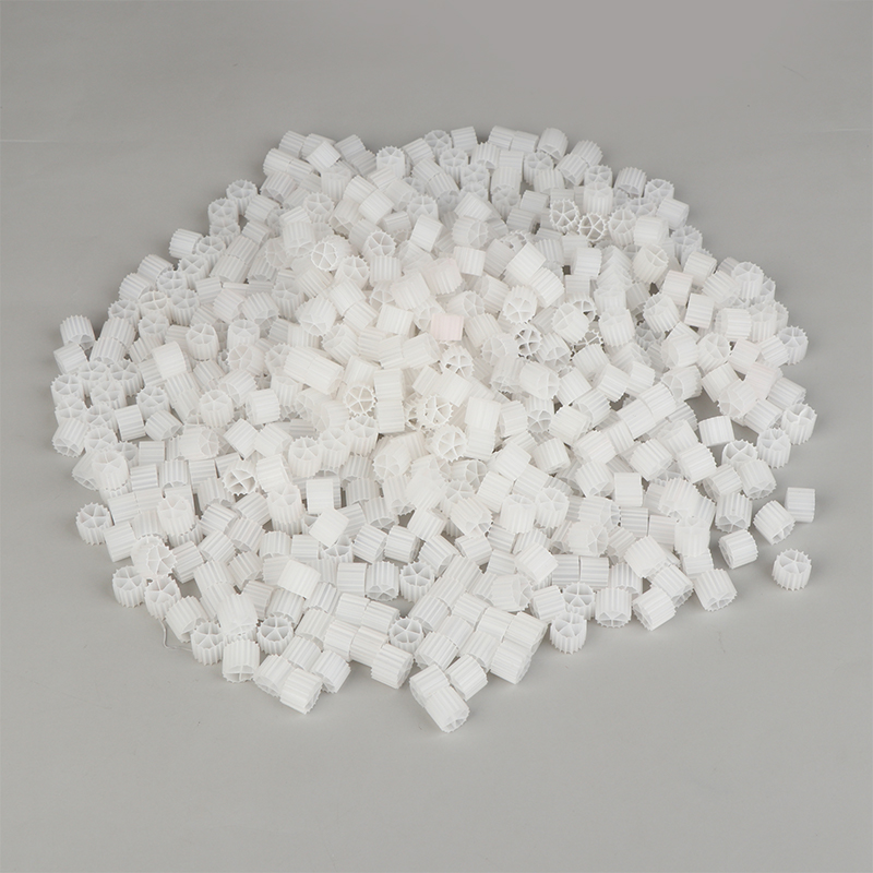 1 bolsa (150g) de medio filtra - Marine Aquarium Bacteria reseña y precio