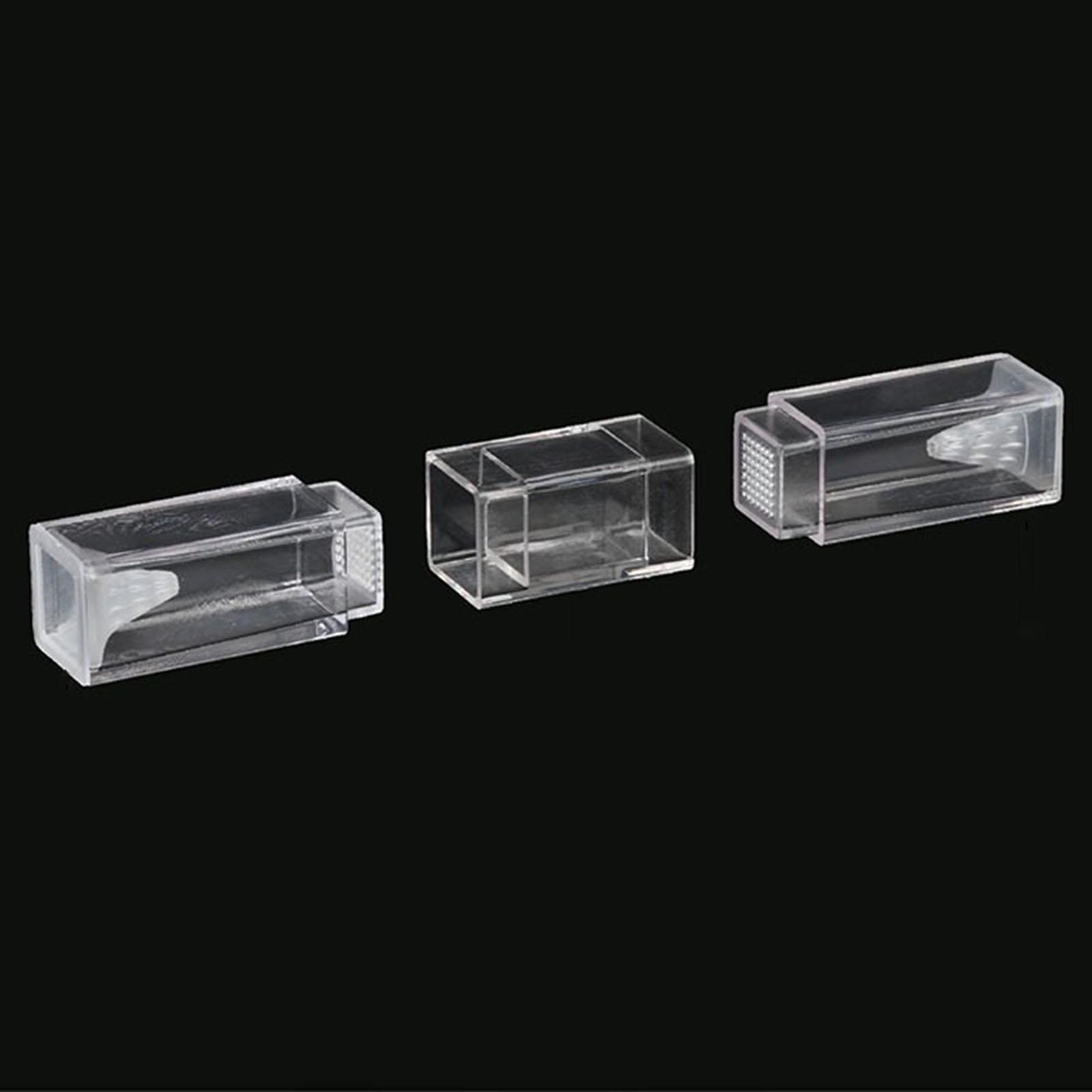 Acuario Planaria Catcher para  - Marine Aquarium Worms reseña y precio