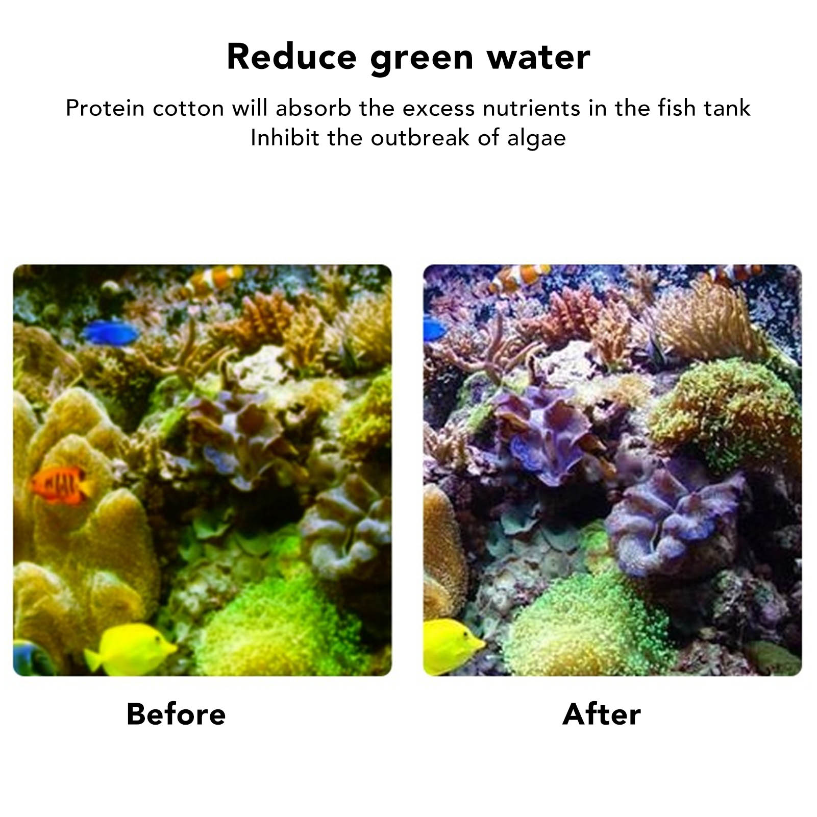 Filtro de peces resina filtrac - Marine Aquarium Filter Media reseña y precio