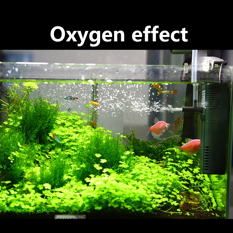 SUNSUN-bomba sumergible de oxí - Marine Aquarium Kit reseña y precio
