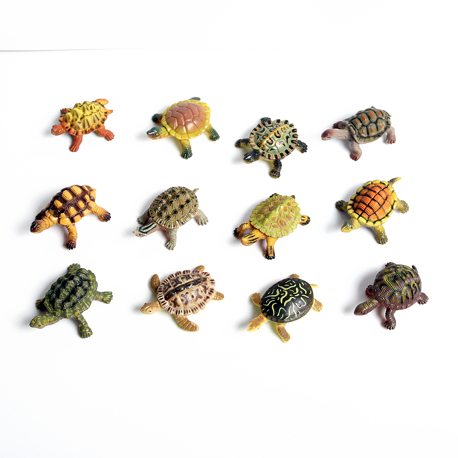 Miniaturas realistas para deco - Marine Aquarium & Regional Centre Photos reseña y precio