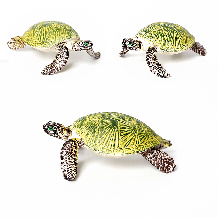 Miniaturas realistas para deco - Marine Aquarium & Regional Centre Photos reseña y precio
